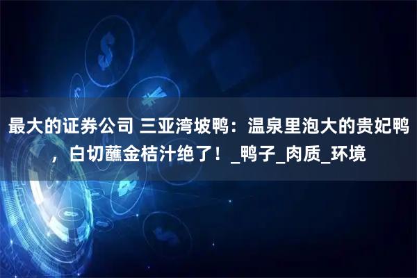 最大的证券公司 三亚湾坡鸭：温泉里泡大的贵妃鸭，白切蘸金桔汁绝了！_鸭子_肉质_环境