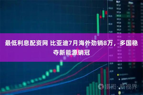最低利息配资网 比亚迪7月海外劲销8万，多国稳夺新能源销冠