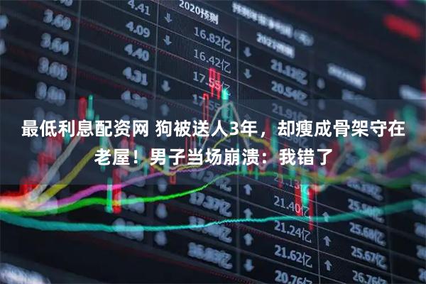 最低利息配资网 狗被送人3年，却瘦成骨架守在老屋！男子当场崩溃：我错了